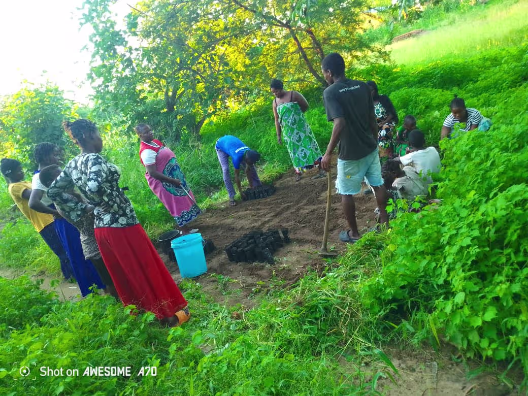 Research and Development